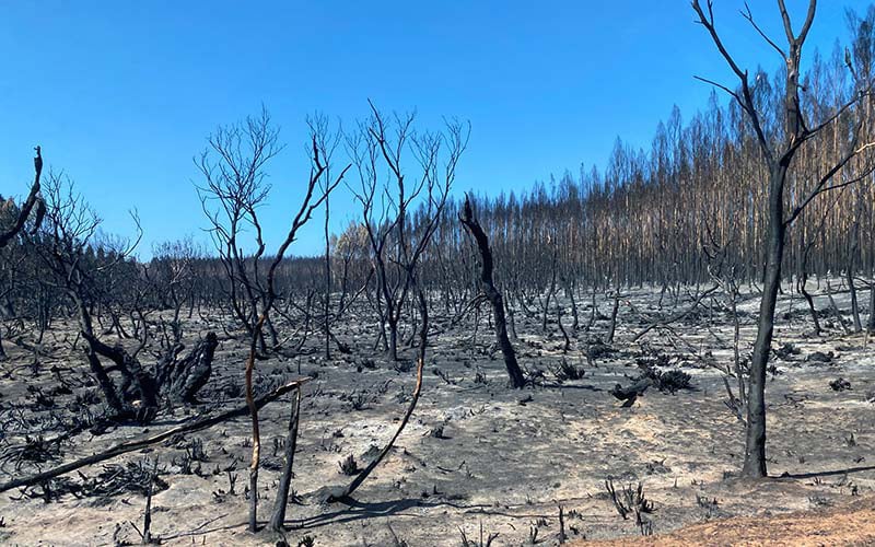 Bushfires-Kangaroo-Island